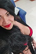 Prato Trans Escort Taina Oliveira 328 53 82 487 foto selfie 50