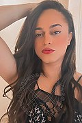 Bologna Trav Escort Victoria New 339 43 37 857 foto selfie 20