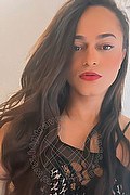 Bologna Trav Escort Victoria New 339 43 37 857 foto selfie 19