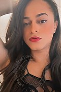 Bologna Trav Escort Victoria New 339 43 37 857 foto selfie 18