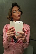 Roma Trans Escort Laviny Albuquerque Pornostar 389 00 19 370 foto selfie 148