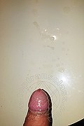 Verona - Sanremo Trans Laviny Albuquerque Pornostar 389 00 19 370 foto selfie 168