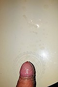 Roma Trans Escort Laviny Albuquerque Pornostar 389 00 19 370 foto selfie 169