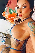 Lamezia Terme Trans Escort Hilary Hot 344 13 27 771 foto selfie 9