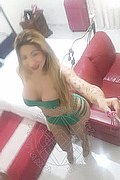 Anversa Trans Escort Sofia Vargas 349 54 36 989 foto selfie 65