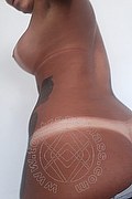 Siena Trans Jennifer Ferraro 350 86 59 657 foto selfie 131