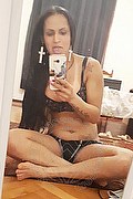 Vibo Valentia Trans Escort Cassidy Ferraro 329 90 90 136 foto selfie 135