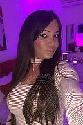 Villorba Trans Escort Pamy La Diva Stellare 324 78 19 703 foto selfie 1019