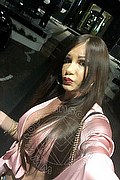 Losanna Trans Pamy La Diva Stellare 324 78 19 703 foto selfie 989