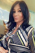 Villorba Trans Pamy La Diva Stellare 324 78 19 703 foto selfie 969