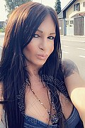 Villorba Trans Pamy La Diva Stellare 324 78 19 703 foto selfie 995