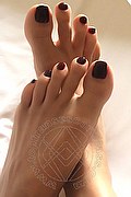 Reggio Emilia Trans Escort Sayda 345 35 09 360 foto selfie 2