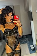 Gallarate Trans Escort Kauane Lima 351 44 38 227 foto selfie 16