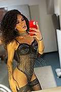 Gallarate Trans Escort Kauane Lima 351 44 38 227 foto selfie 15