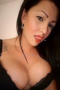 Rovigo Trans Escort Tiffani 393 45 74 360 foto selfie 20