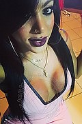 San Paolo Trans Escort Aylla Gattina Pornostar 347 08 83 203 foto selfie 17