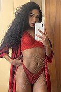 Novara Trans Miele 328 42 56 421 foto selfie 75