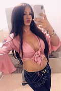 Villorba Trans Pamy La Diva Stellare 324 78 19 703 foto selfie 1010