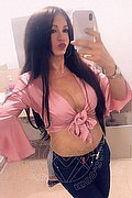 Villorba Trans Escort Pamy La Diva Stellare 324 78 19 703 foto selfie 1120