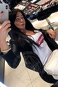 Villorba Trans Escort Pamy La Diva Stellare 324 78 19 703 foto selfie 1220