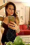Rimini Trans Alessandra Toledo Pornostar 339 67 43 933 foto selfie 212