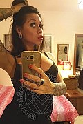 Rimini Trans Alessandra Toledo Pornostar 339 67 43 933 foto selfie 216