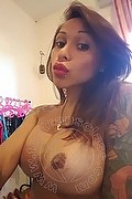 Rimini Trans Alessandra Toledo Pornostar 339 67 43 933 foto selfie 234