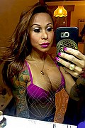 Rimini Trans Alessandra Toledo Pornostar 339 67 43 933 foto selfie 205