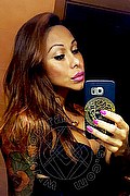 Rimini Trans Alessandra Toledo Pornostar 339 67 43 933 foto selfie 207
