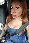 Rimini Trans Alessandra Toledo Pornostar 339 67 43 933 foto selfie 200