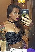 Rimini Trans Alessandra Toledo Pornostar 339 67 43 933 foto selfie 185
