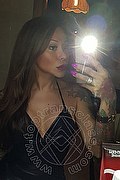 Rimini Trans Alessandra Toledo Pornostar 339 67 43 933 foto selfie 151