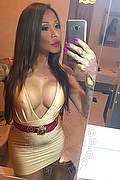Rimini Trans Alessandra Toledo Pornostar 339 67 43 933 foto selfie 149