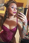 Rimini Trans Alessandra Toledo Pornostar 339 67 43 933 foto selfie 134