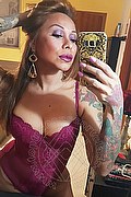 Prato Trans Escort Alessandra Toledo Pornostar 339 67 43 933 foto selfie 144