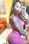 Rimini Trans Alessandra Toledo Pornostar 339 67 43 933 foto selfie 69