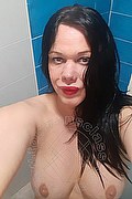 Piacenza Trans Bruna Pantera Brasiliana 327 06 75 293 foto selfie 17