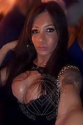 Villorba Trans Escort Pamy La Diva Stellare 324 78 19 703 foto selfie 1267