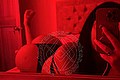 Desio Trans Escort Gina Latina 327 47 16 071 foto selfie 28