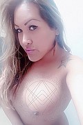 Vicenza Trans Giselle Pires 327 33 86 244 foto selfie 125