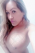 Verbania Trans Escort Gyselle Pires 327 33 86 244 foto selfie 115