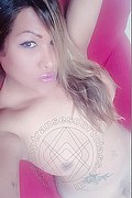 Verbania Trans Escort Gyselle Pires 327 33 86 244 foto selfie 116