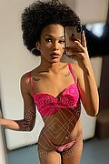 Novara Trans Miele 328 42 56 421 foto selfie 26