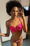Brescia Trans Escort Miele 328 42 56 421 foto selfie 30