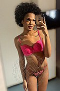 Brescia Trans Escort Miele 328 42 56 421 foto selfie 29