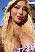 Bari Trans Vanessa Martinez 344 61 31 802 foto selfie 5