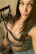 Bologna Trans Escort Brenda Only 380 59 31 784 foto selfie 25
