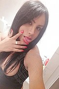 Bologna Trans Escort Brenda Only 380 59 31 784 foto selfie 16