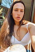 Verona Trans Escort Gig Moon 345 61 44 851 foto selfie 22