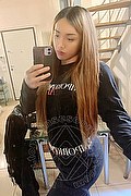 Campobasso Trans Escort Stella Dreams 389 16 86 605 foto selfie 67